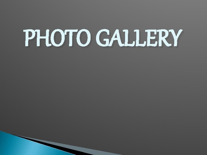 PHOTO GALLERY 