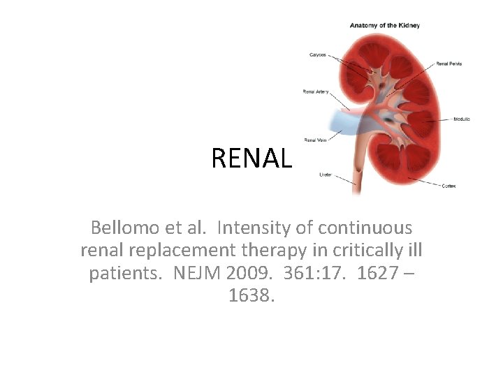 RENAL Bellomo et al. Intensity of continuous renal replacement therapy in critically ill patients.