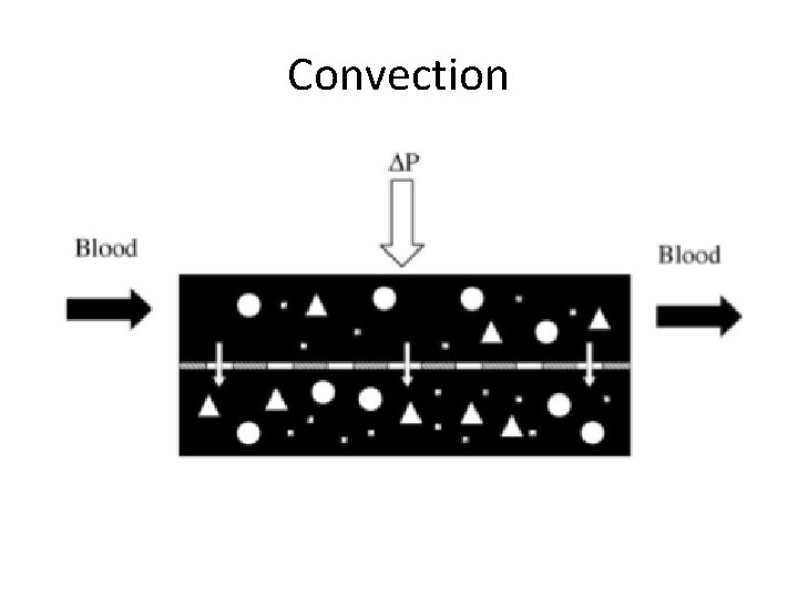 Convection 