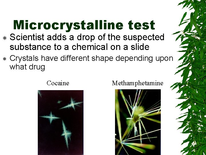 Microcrystalline test Scientist adds a drop of the suspected substance to a chemical on