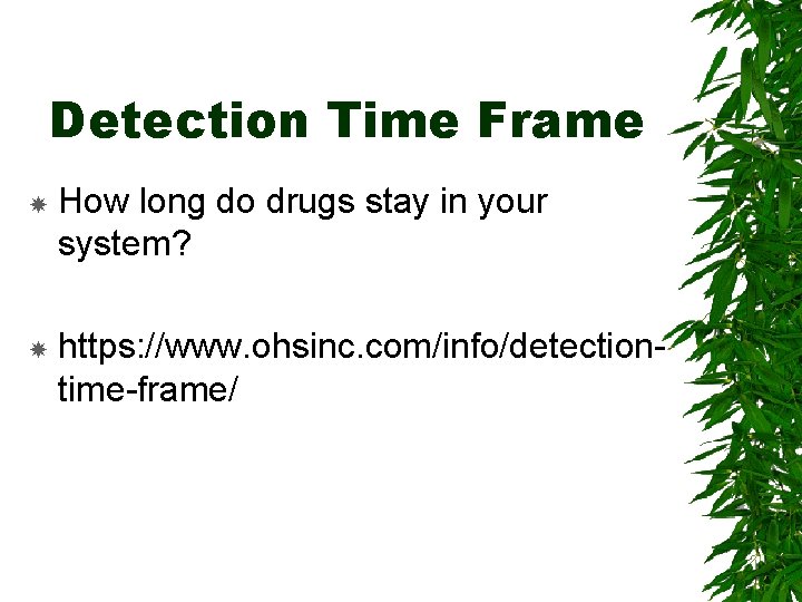 Detection Time Frame How long do drugs stay in your system? https: //www. ohsinc.
