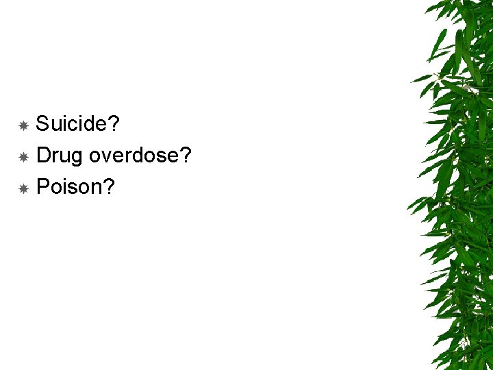 Suicide? Drug overdose? Poison? 