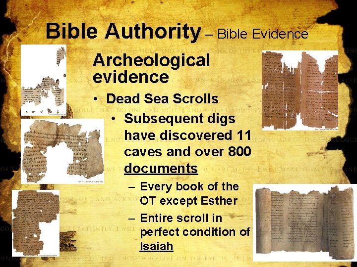 Bible Authority – Bible Evidence Archeological evidence • Dead Sea Scrolls • Subsequent digs