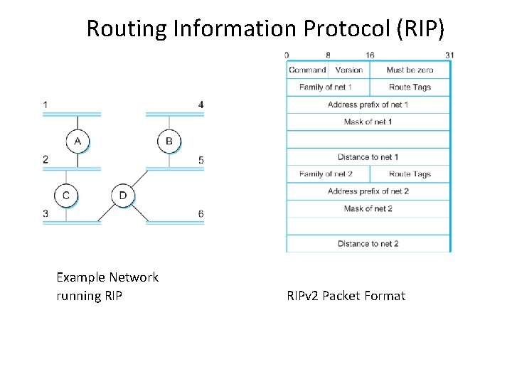 Routing Information Protocol (RIP) Example Network running RIPv 2 Packet Format 