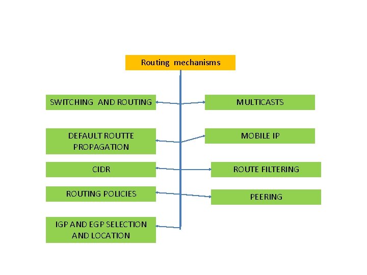 Routing mechanisms SWITCHING AND ROUTING MULTICASTS DEFAULT ROUTTE PROPAGATION MOBILE IP CIDR ROUTE FILTERING