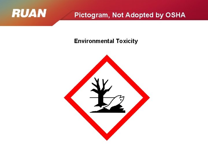 Pictogram, Not Adopted by OSHA Environmental Toxicity 