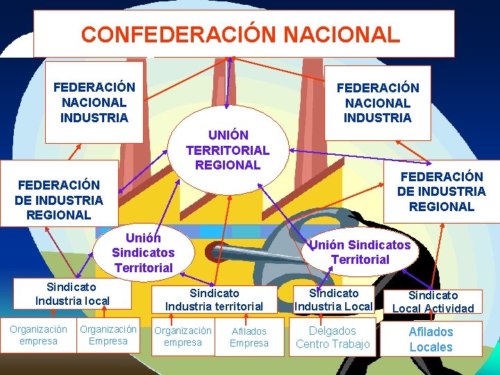 CONFEDERACIÓN NACIONAL INDUSTRIA UNIÓN TERRITORIAL REGIONAL FEDERACIÓN DE INDUSTRIA REGIONAL Unión Sindicatos Territorial Sindicato