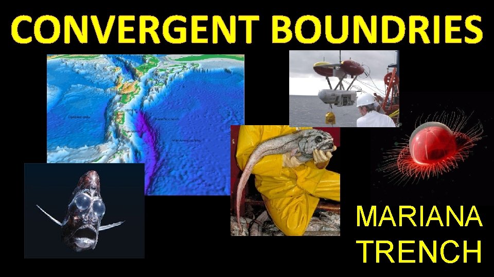 CONVERGENT BOUNDRIES MARIANA TRENCH 