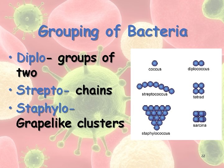 Grouping of Bacteria • Diplo- groups of two • Strepto- chains • Staphylo. Grapelike