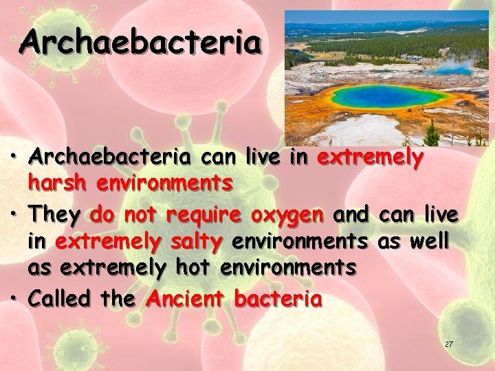 Archaebacteria • Archaebacteria can live in extremely harsh environments • They do not require