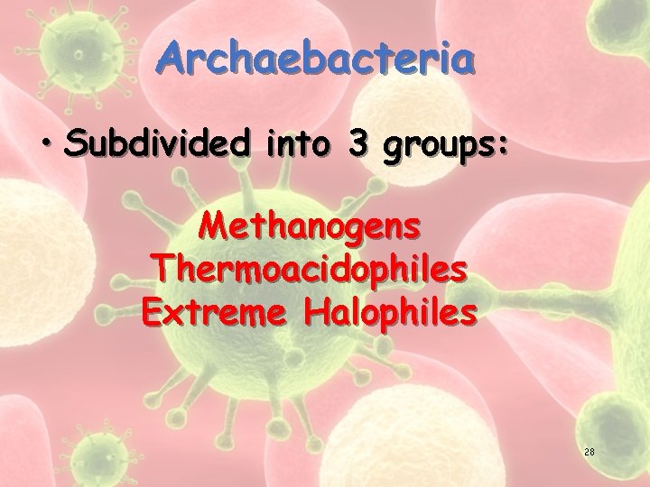 Archaebacteria • Subdivided into 3 groups: Methanogens Thermoacidophiles Extreme Halophiles 28 