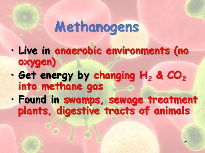 Methanogens • Live in anaerobic environments (no oxygen) • Get energy by changing H