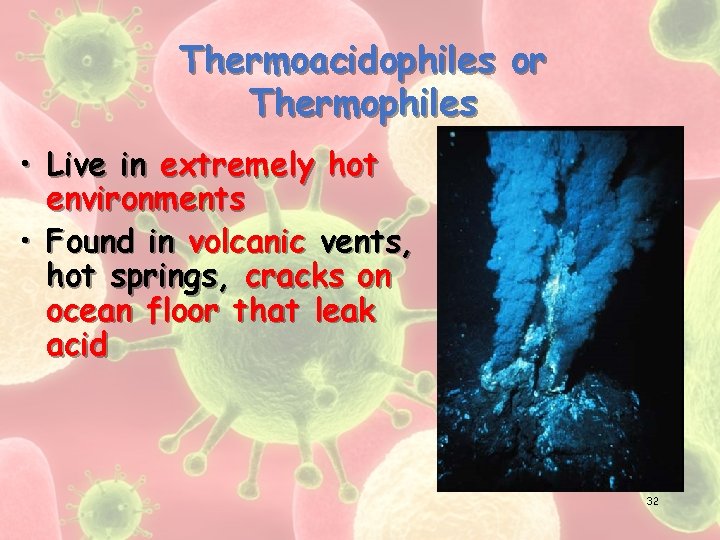 Thermoacidophiles or Thermophiles • Live in extremely hot environments • Found in volcanic vents,