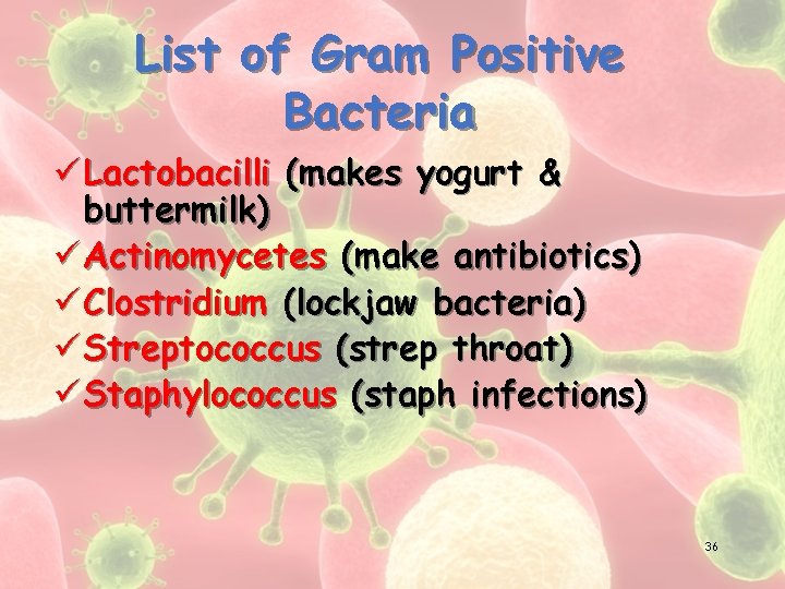 List of Gram Positive Bacteria ü Lactobacilli (makes yogurt & buttermilk) ü Actinomycetes (make