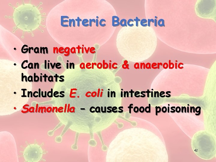 Enteric Bacteria • • Gram negative Can live in aerobic & anaerobic habitats Includes