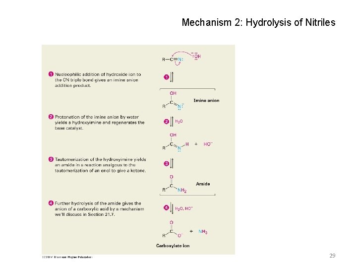 Mechanism 2: Hydrolysis of Nitriles 29 