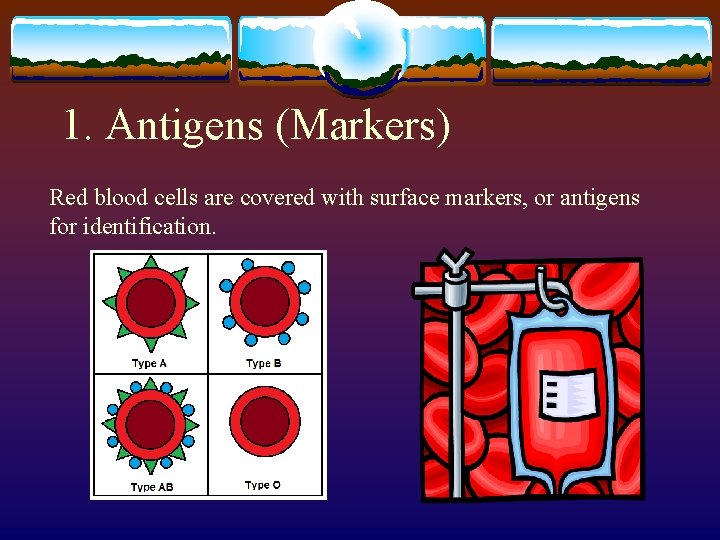 1. Antigens (Markers) Red blood cells are covered with surface markers, or antigens for