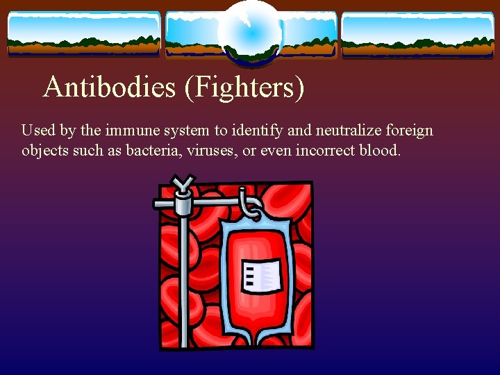 Antibodies (Fighters) Used by the immune system to identify and neutralize foreign objects such