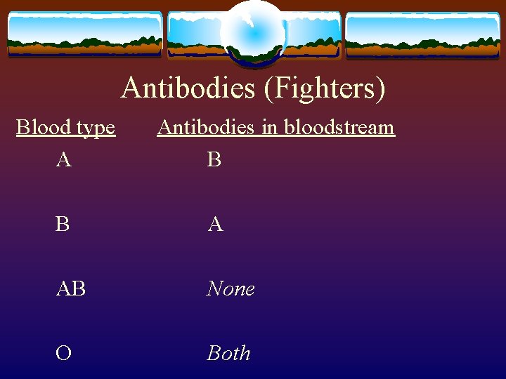Antibodies (Fighters) Blood type A Antibodies in bloodstream B B A AB None O
