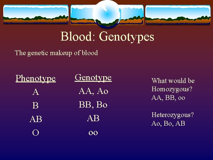 Blood: Genotypes The genetic makeup of blood Phenotype A B AB O Genotype AA,