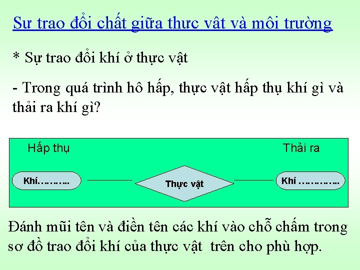 Sự trao đổi chất giữa thực vật và môi trường * Sự trao đổi