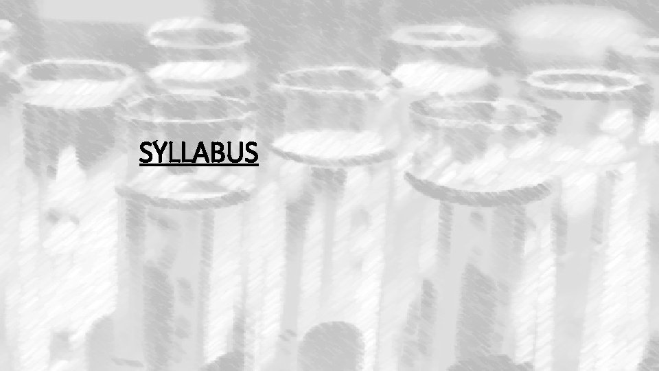 SYLLABUS 