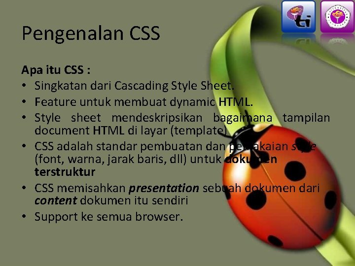 Pengenalan CSS Apa itu CSS : • Singkatan dari Cascading Style Sheet. • Feature