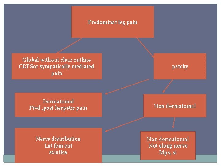 Predominat leg pain Global without clear outline CRPSor sympatically mediated pain Dermatomal Pivd ,