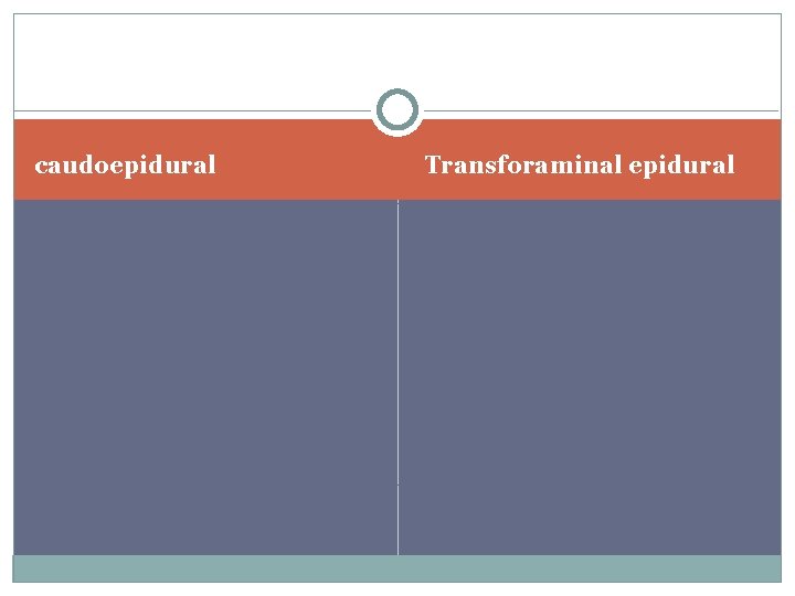 caudoepidural Transforaminal epidural 