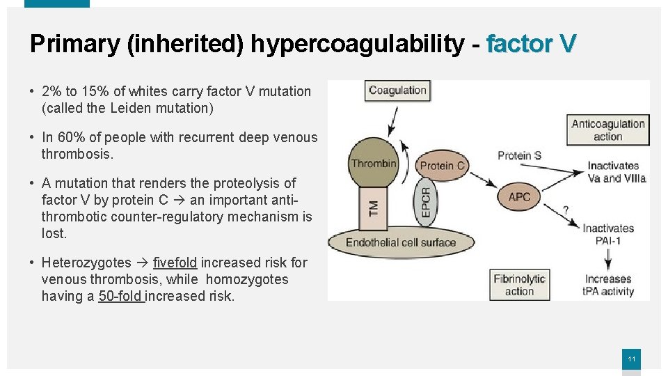 Primary (inherited) hypercoagulability - factor V • 2% to 15% of whites carry factor