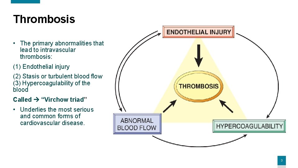 Thrombosis • The primary abnormalities that lead to intravascular thrombosis: (1) Endothelial injury (2)