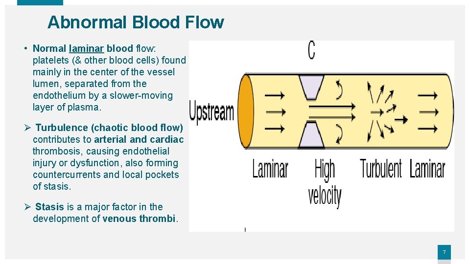 Abnormal Blood Flow • Normal laminar blood flow: platelets (& other blood cells) found