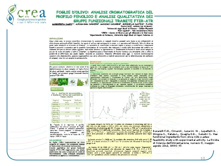 Caso Studio: Fingerprint Foglie d’olivo Bucarelli F. M. , Cimaroli , Lucarini M. ,