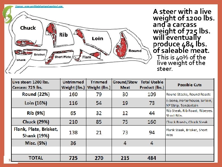 Source: www. certifiedsteakandseafood. com A steer with a live weight of 1200 lbs. and