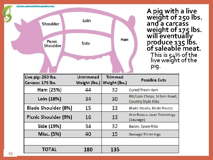 Source: www. idealhomegarden. com A pig with a live weight of 250 lbs. and