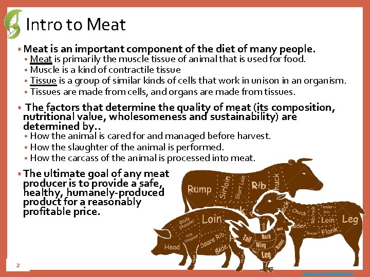 Intro to Meat • Meat is an important component of the diet of many