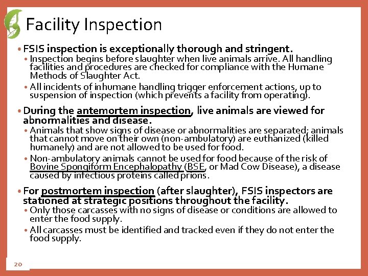 Facility Inspection • FSIS inspection is exceptionally thorough and stringent. • Inspection begins before