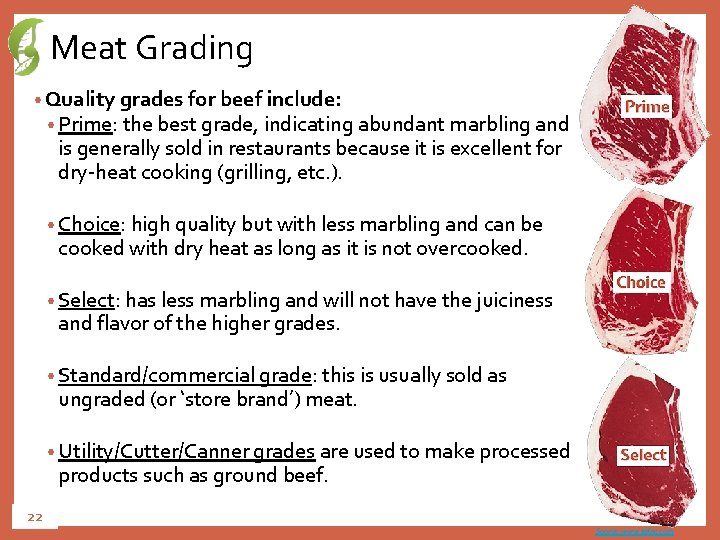 Meat Grading • Quality grades for beef include: • Prime: the best grade, indicating