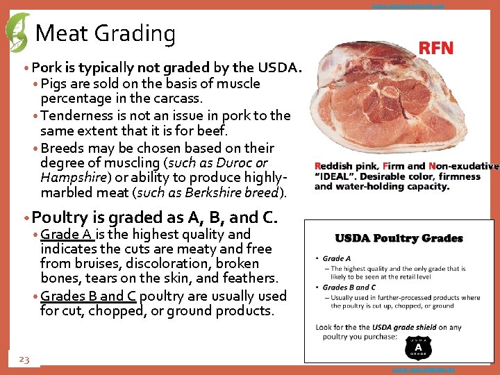 Source: egashops. directedje. com Meat Grading • Pork is typically not graded by the