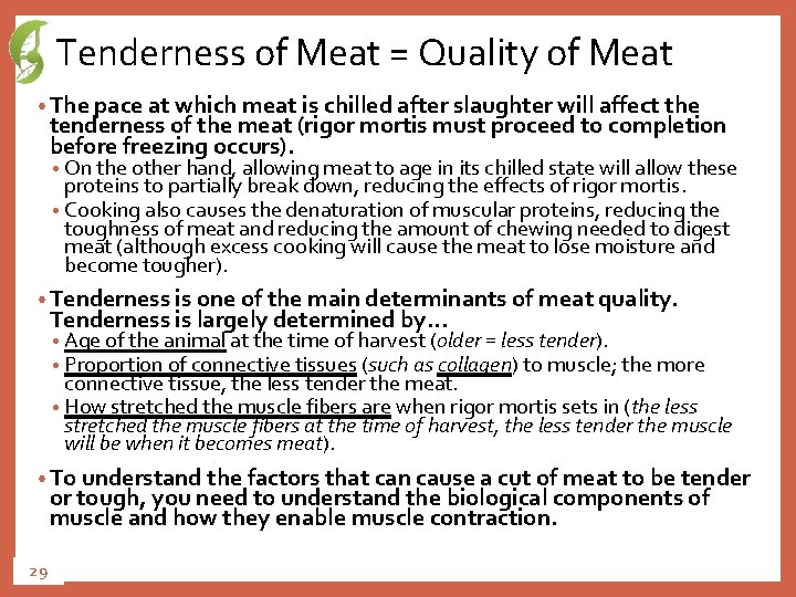 Tenderness of Meat = Quality of Meat • The pace at which meat is