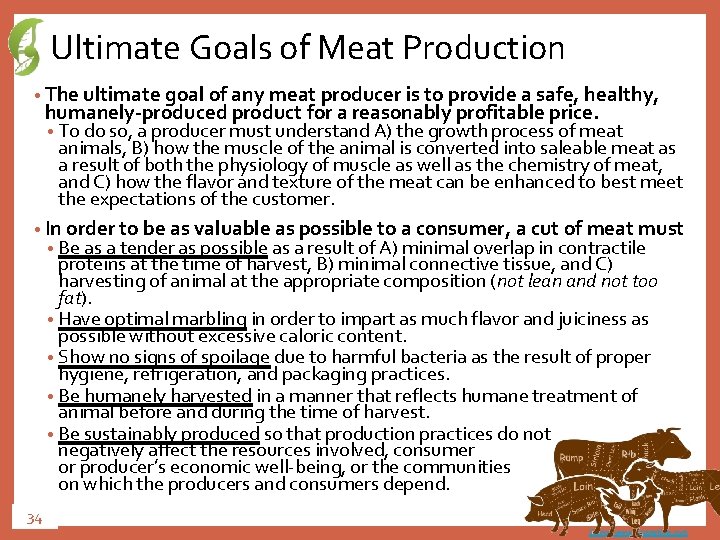 Ultimate Goals of Meat Production • The ultimate goal of any meat producer is