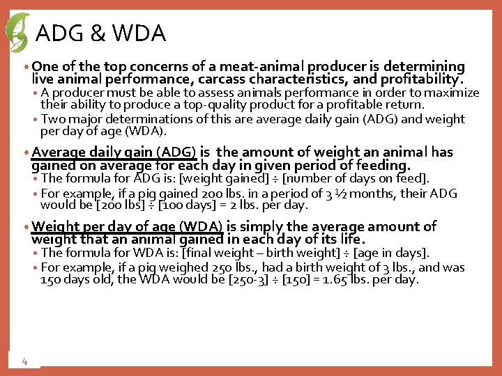 ADG & WDA • One of the top concerns of a meat-animal producer is