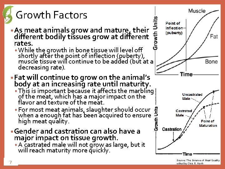 Growth Factors • As meat animals grow and mature, their different bodily tissues grow