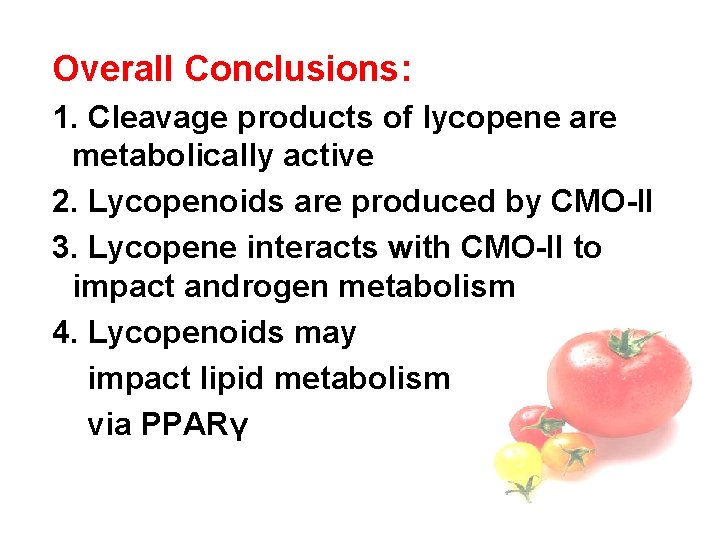 Overall Conclusions: 1. Cleavage products of lycopene are metabolically active 2. Lycopenoids are produced