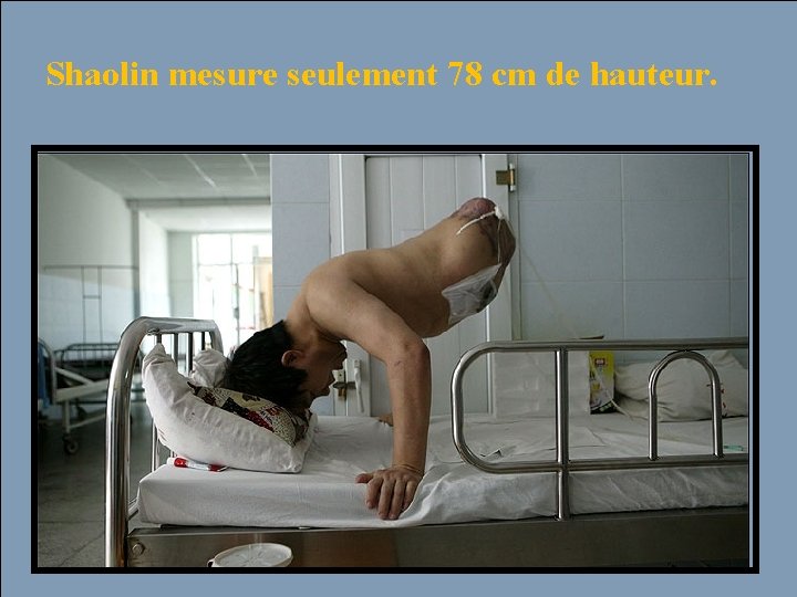 Shaolin mesure seulement 78 cm de hauteur. 