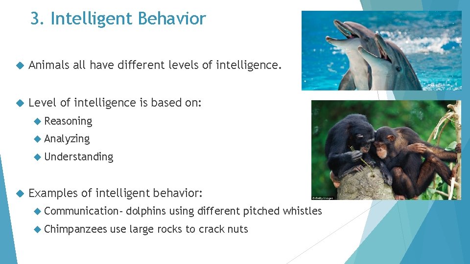 3. Intelligent Behavior Animals all have different levels of intelligence. Level of intelligence is