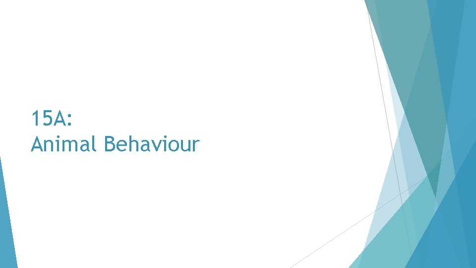 15 A: Animal Behaviour 