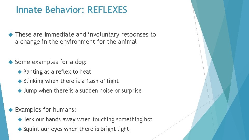 Innate Behavior: REFLEXES These are immediate and involuntary responses to a change in the