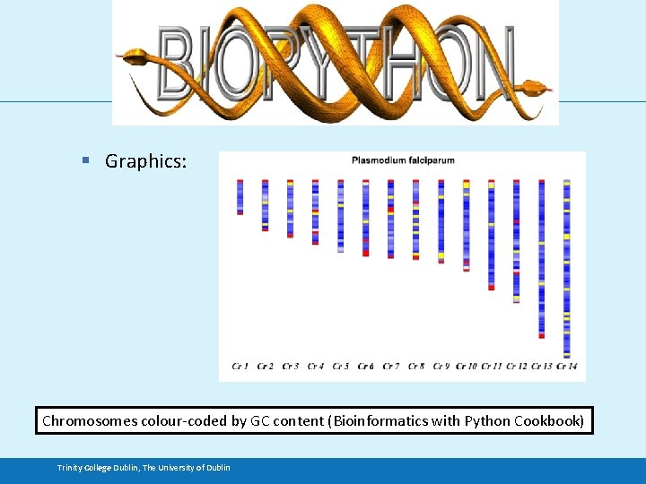 § Graphics: Chromosomes colour-coded by GC content (Bioinformatics with Python Cookbook) Trinity College Dublin,
