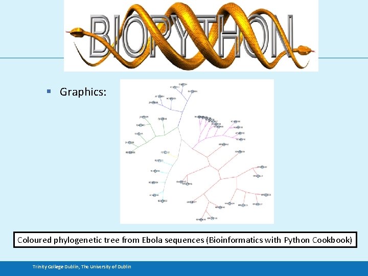 § Graphics: Coloured phylogenetic tree from Ebola sequences (Bioinformatics with Python Cookbook) Trinity College
